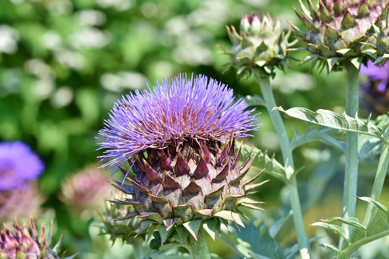 The Best Way to Cook and Serve Artichokes